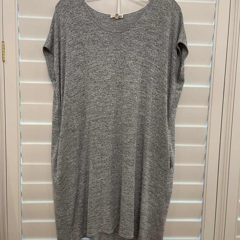 Aritzia Wilfred dress